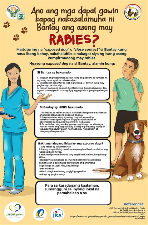 national rabies information system (naris)|Animal Bite Treatment Centres in the Philippines: Functions and .